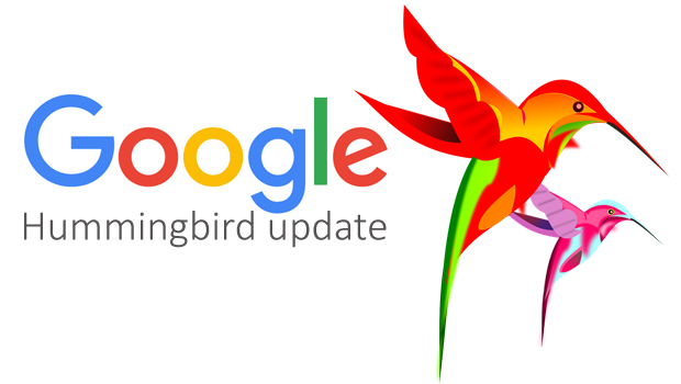 aggiornamento google hummingbird