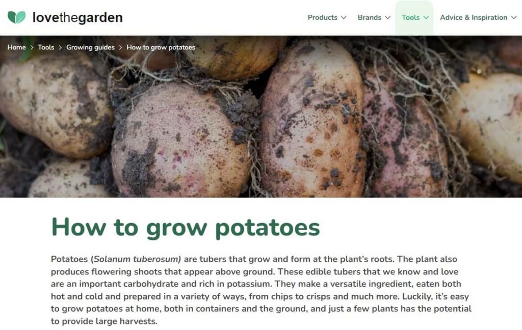 blog sobre como cultivar batatas